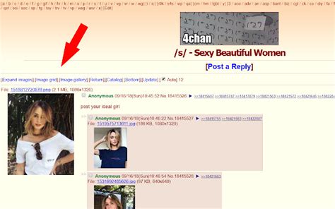4chan archive search|Category:4chan .
